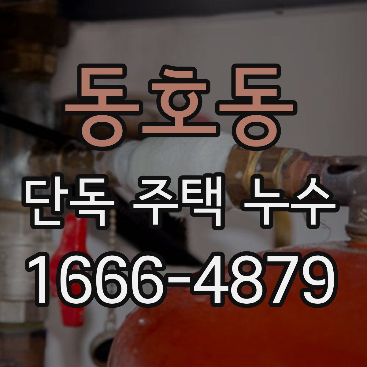 동호동 단독 주택 누수
