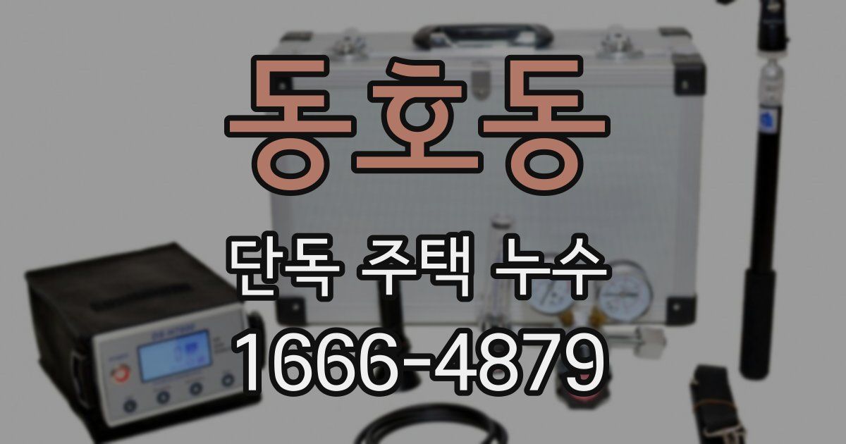 동호동 단독 주택 누수
