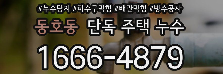동호동 단독 주택 누수