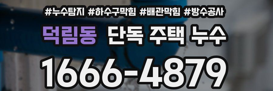 덕림동 단독 주택 누수
