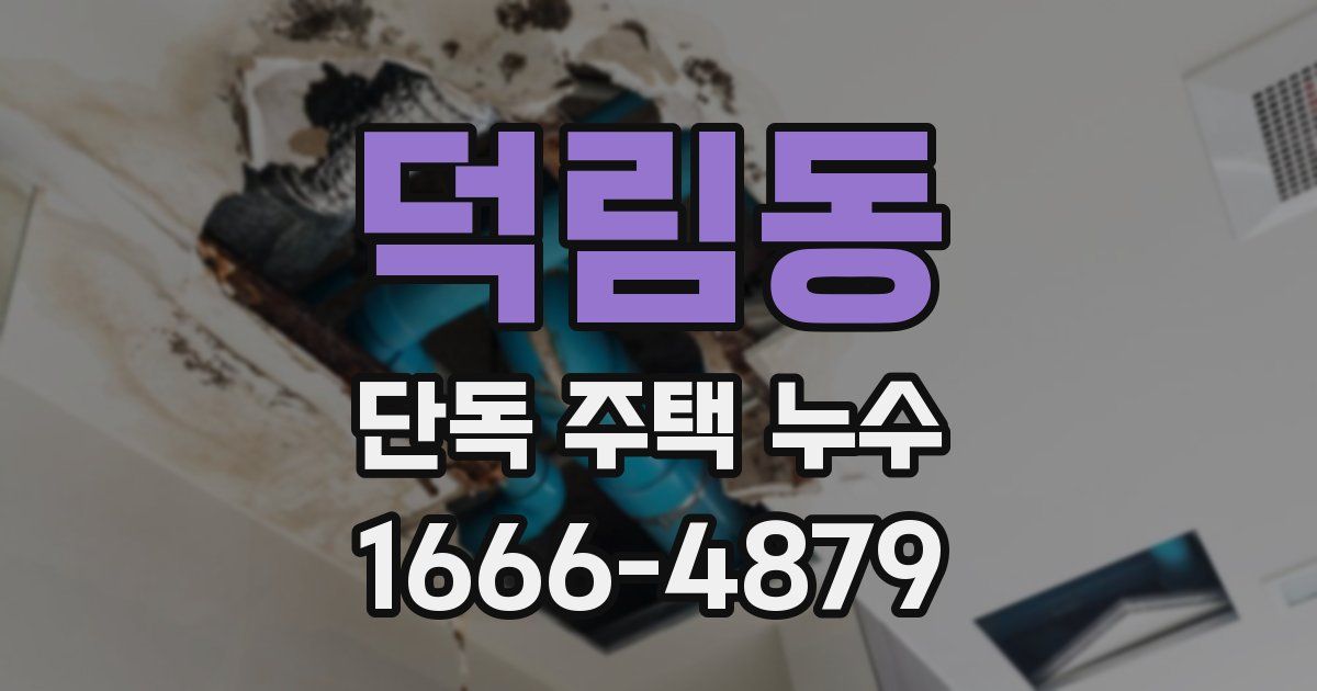 덕림동 단독 주택 누수