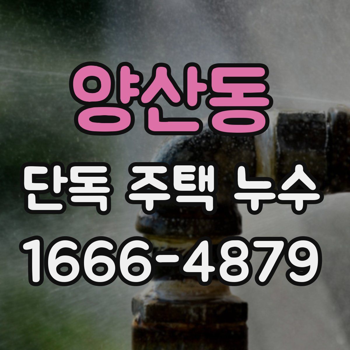 양산동 단독 주택 누수