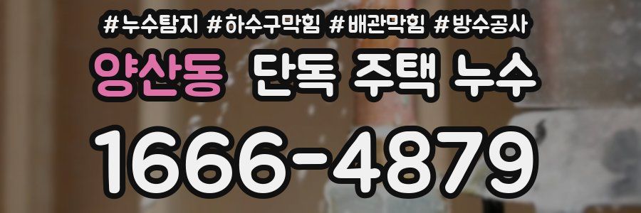 양산동 단독 주택 누수