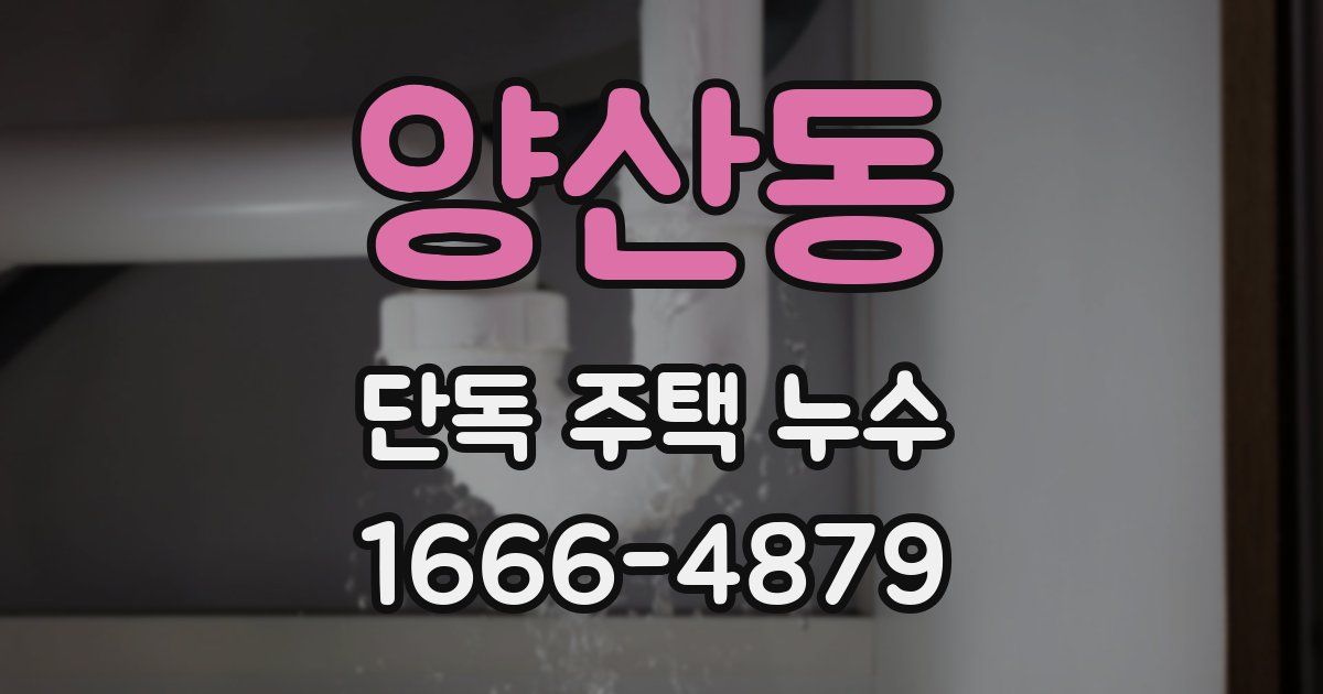 양산동 단독 주택 누수