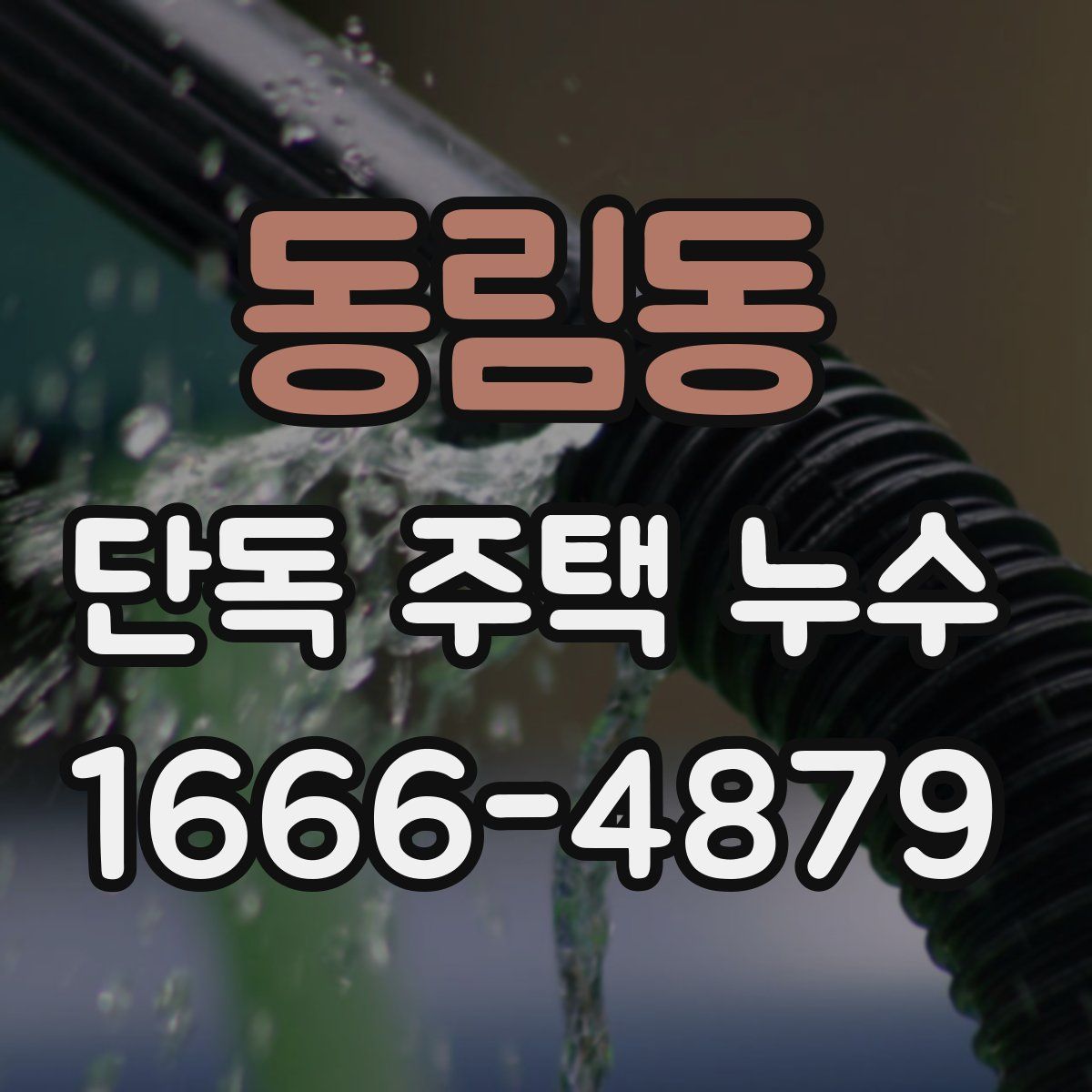 동림동 단독 주택 누수