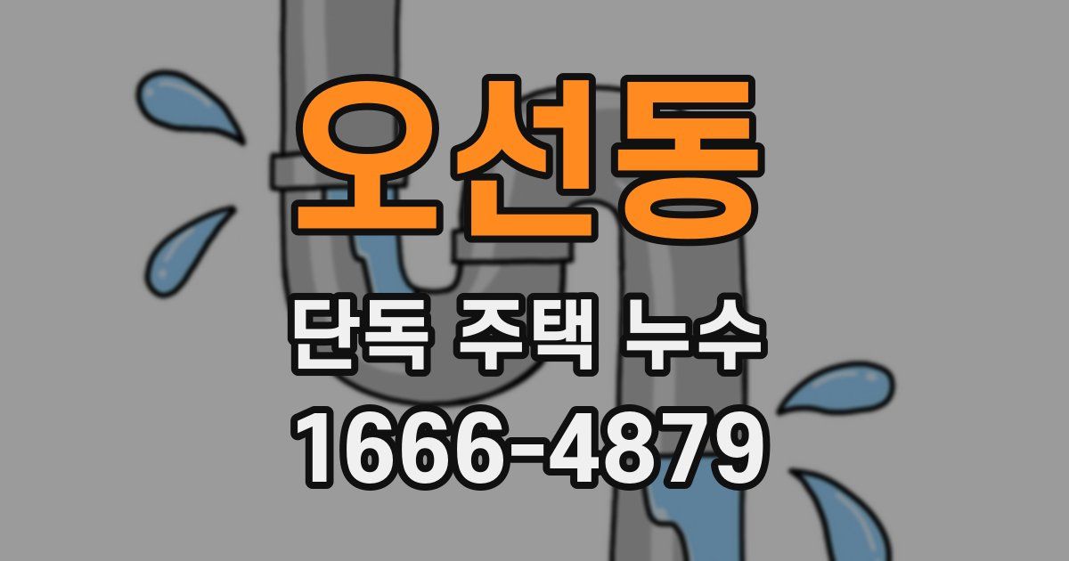 오선동 단독 주택 누수