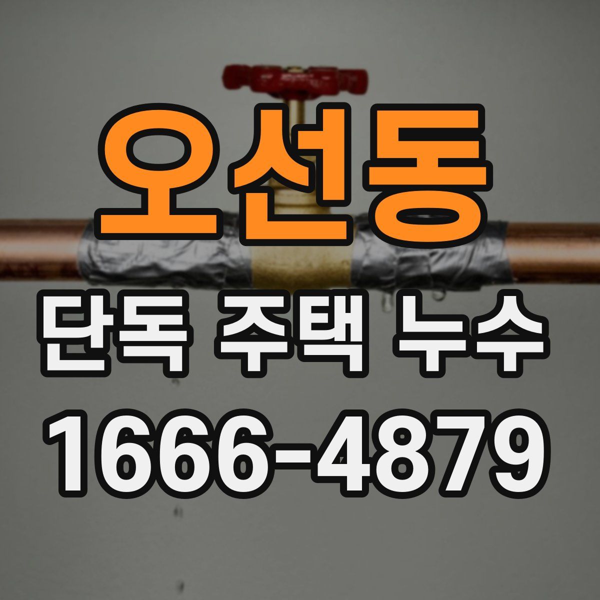 오선동 단독 주택 누수