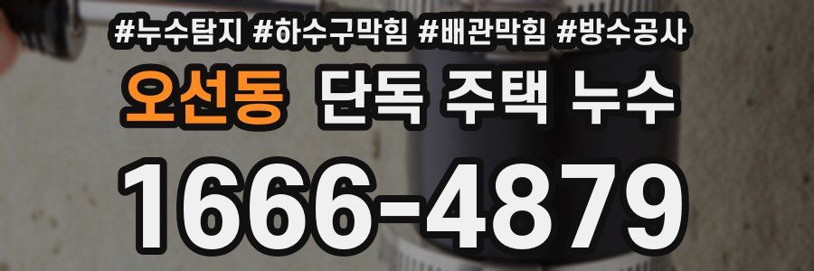 오선동 단독 주택 누수