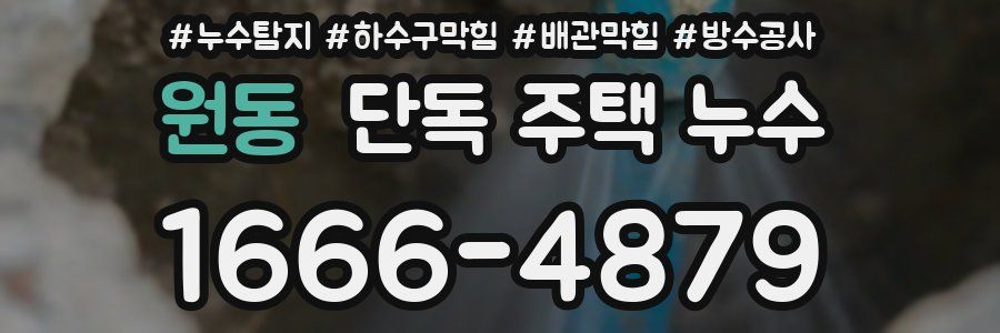 원동 단독 주택 누수