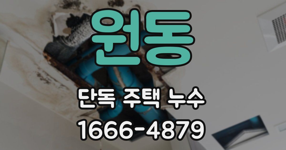 원동 단독 주택 누수