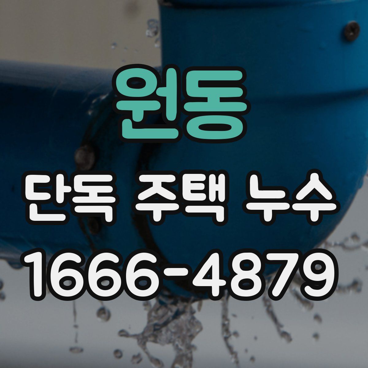 원동 단독 주택 누수