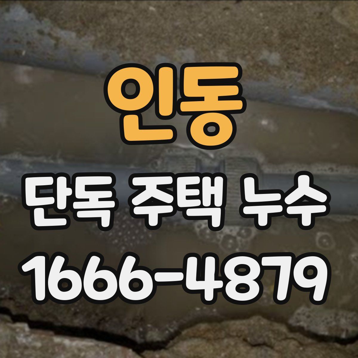 인동 단독 주택 누수