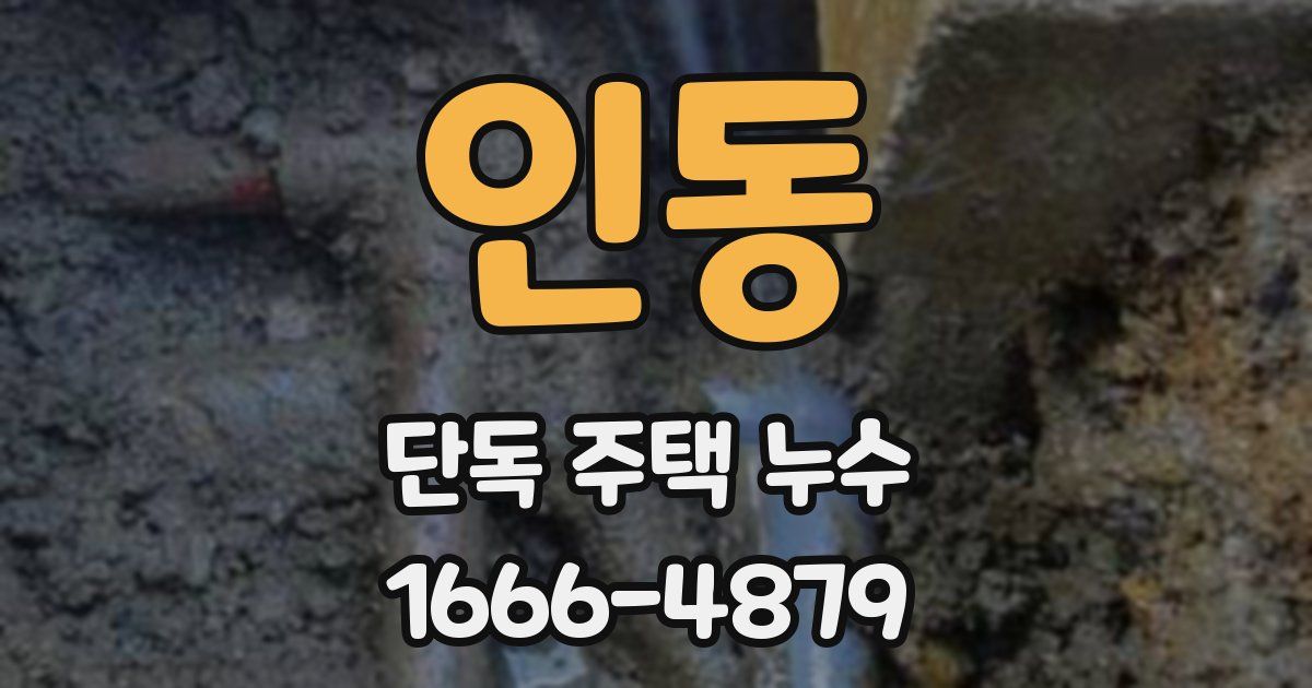 인동 단독 주택 누수