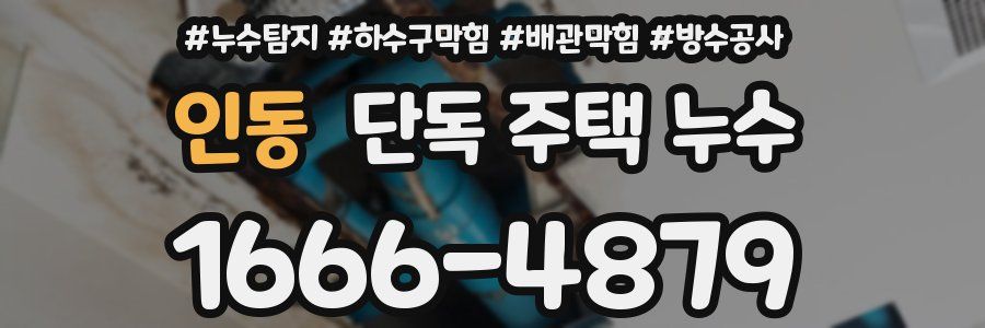 인동 단독 주택 누수