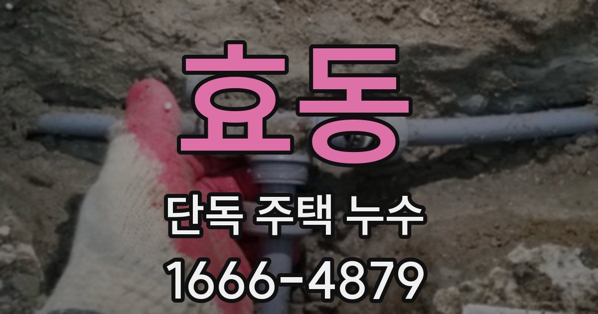 효동 단독 주택 누수