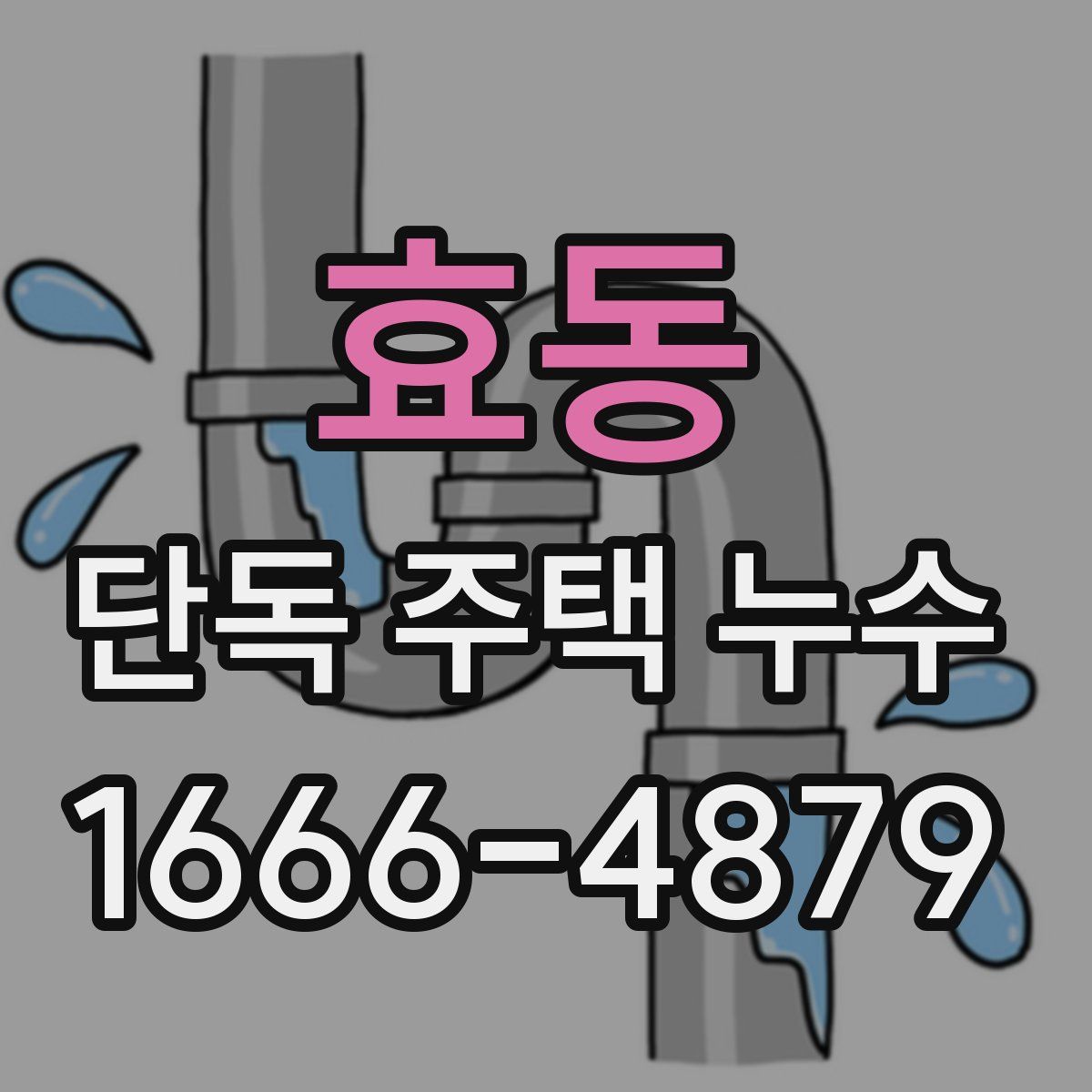 효동 단독 주택 누수