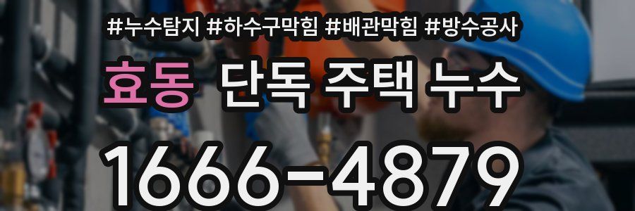 효동 단독 주택 누수