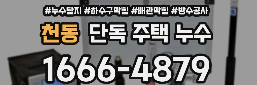 천동 단독 주택 누수