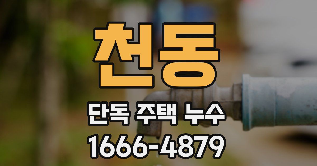 천동 단독 주택 누수