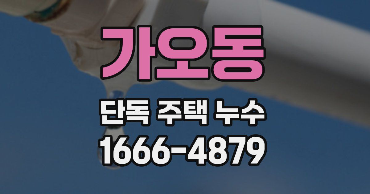 가오동 단독 주택 누수