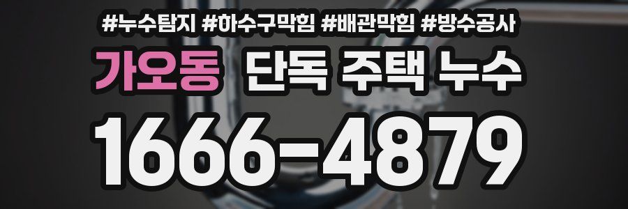 가오동 단독 주택 누수