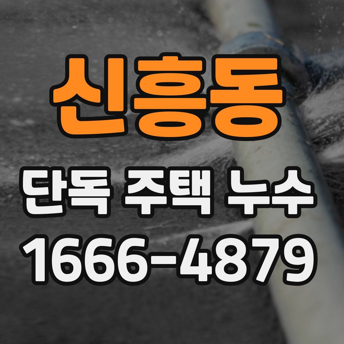 신흥동 단독 주택 누수