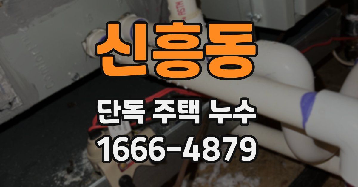 신흥동 단독 주택 누수