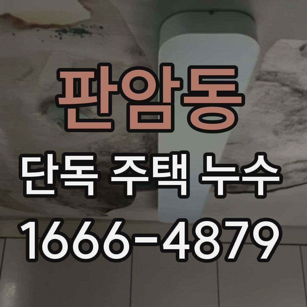 판암동 단독 주택 누수