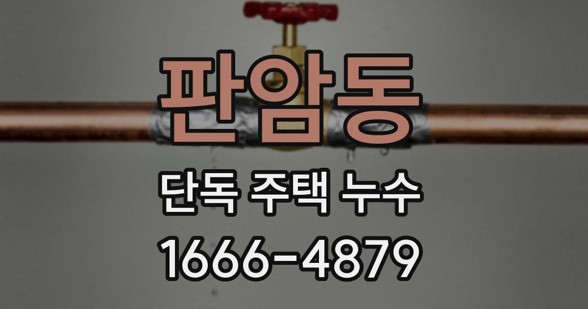 판암동 단독 주택 누수