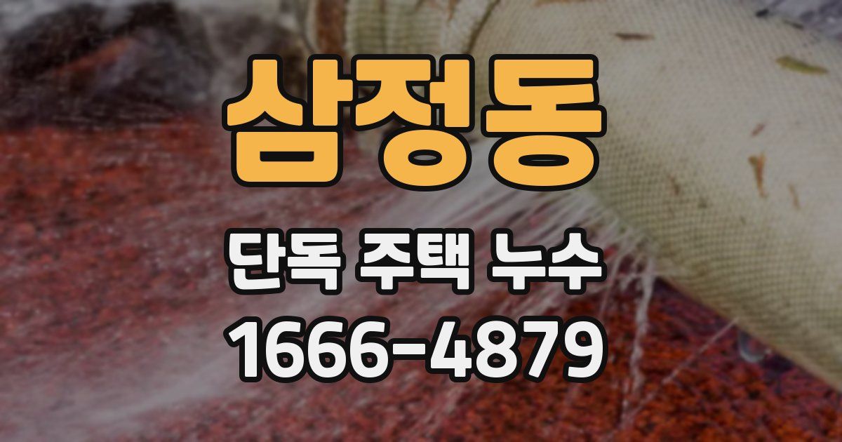 삼정동 단독 주택 누수