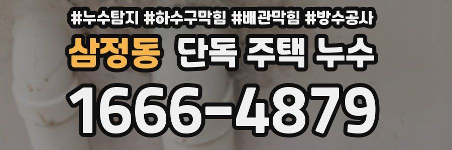 삼정동 단독 주택 누수