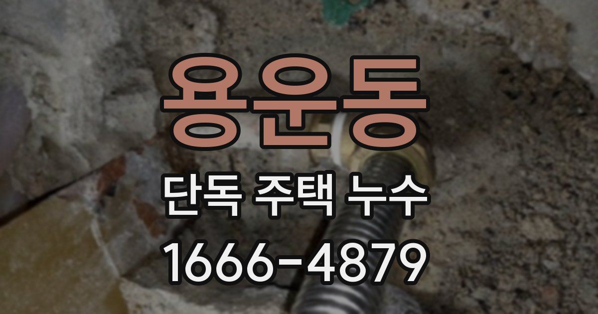 용운동 단독 주택 누수