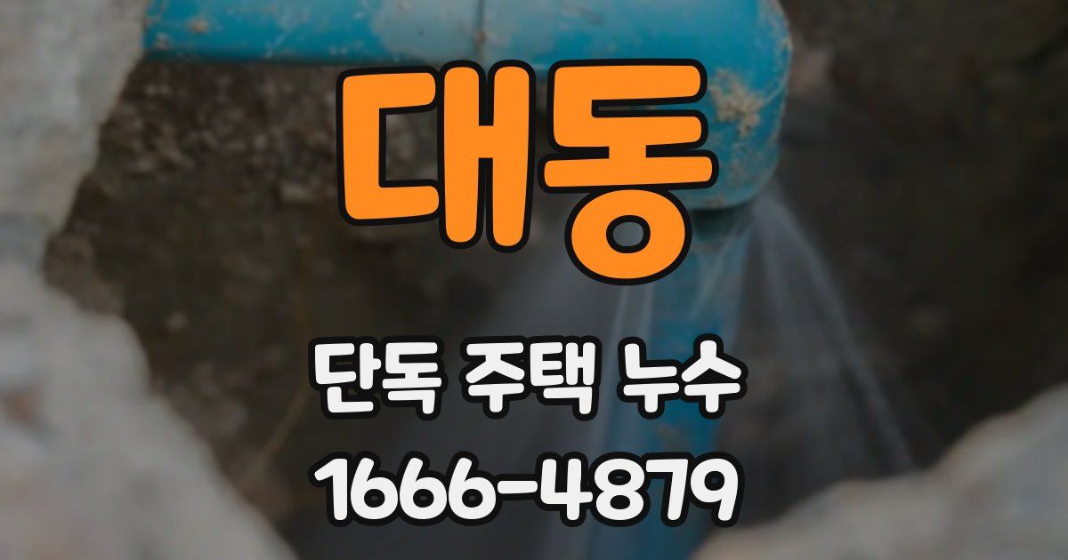 대동 단독 주택 누수