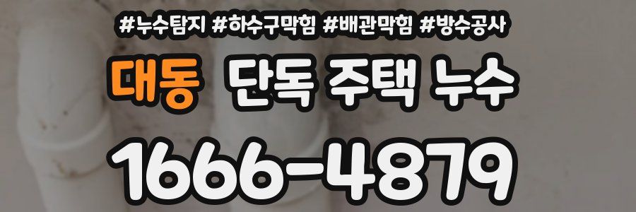 대동 단독 주택 누수
