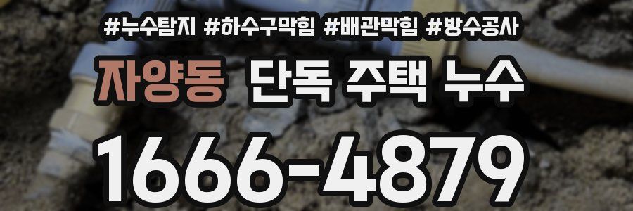 자양동 단독 주택 누수