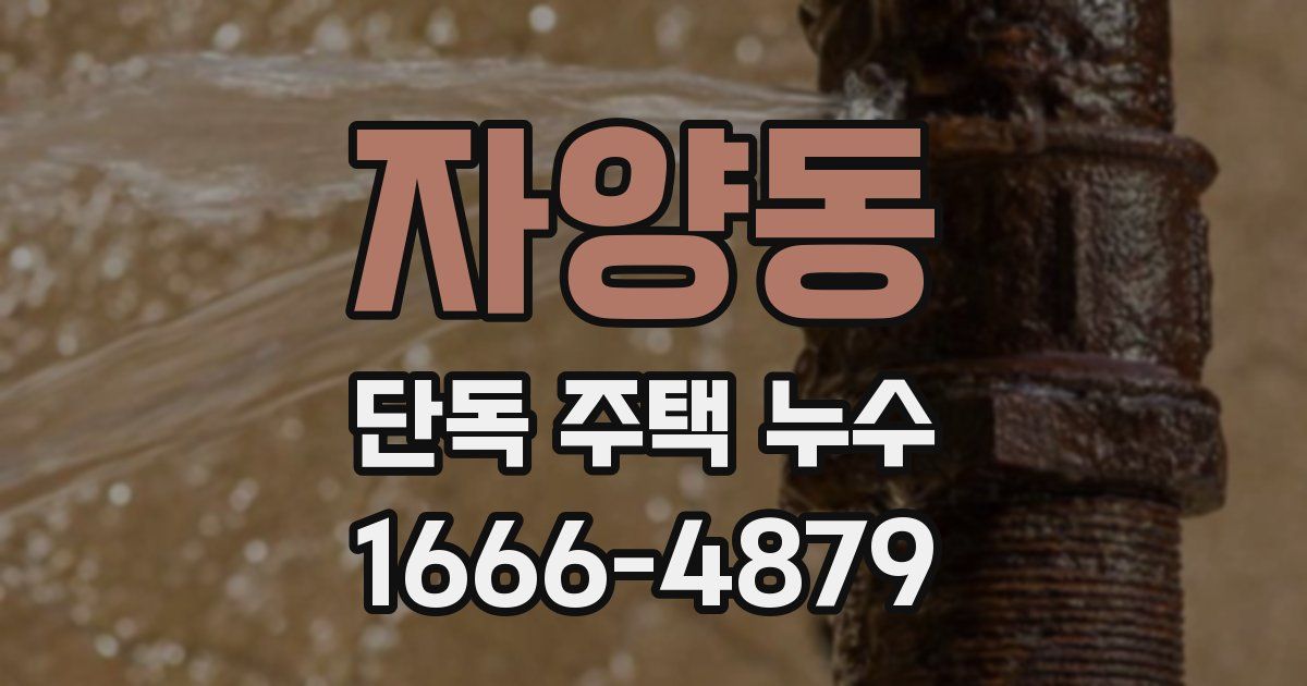 자양동 단독 주택 누수