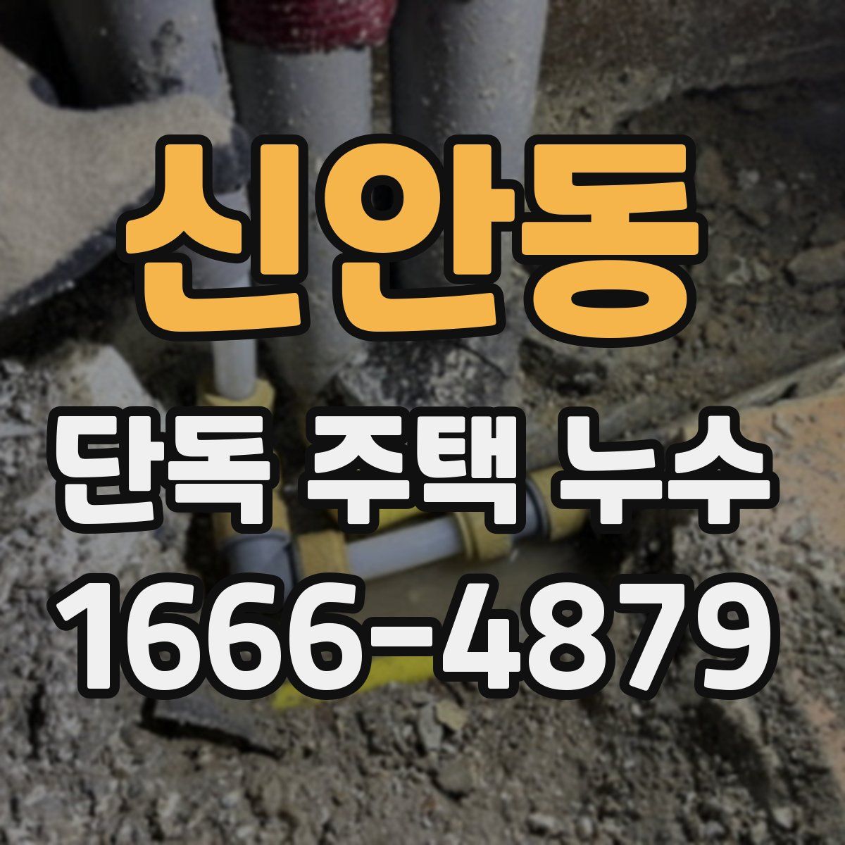 신안동 단독 주택 누수
