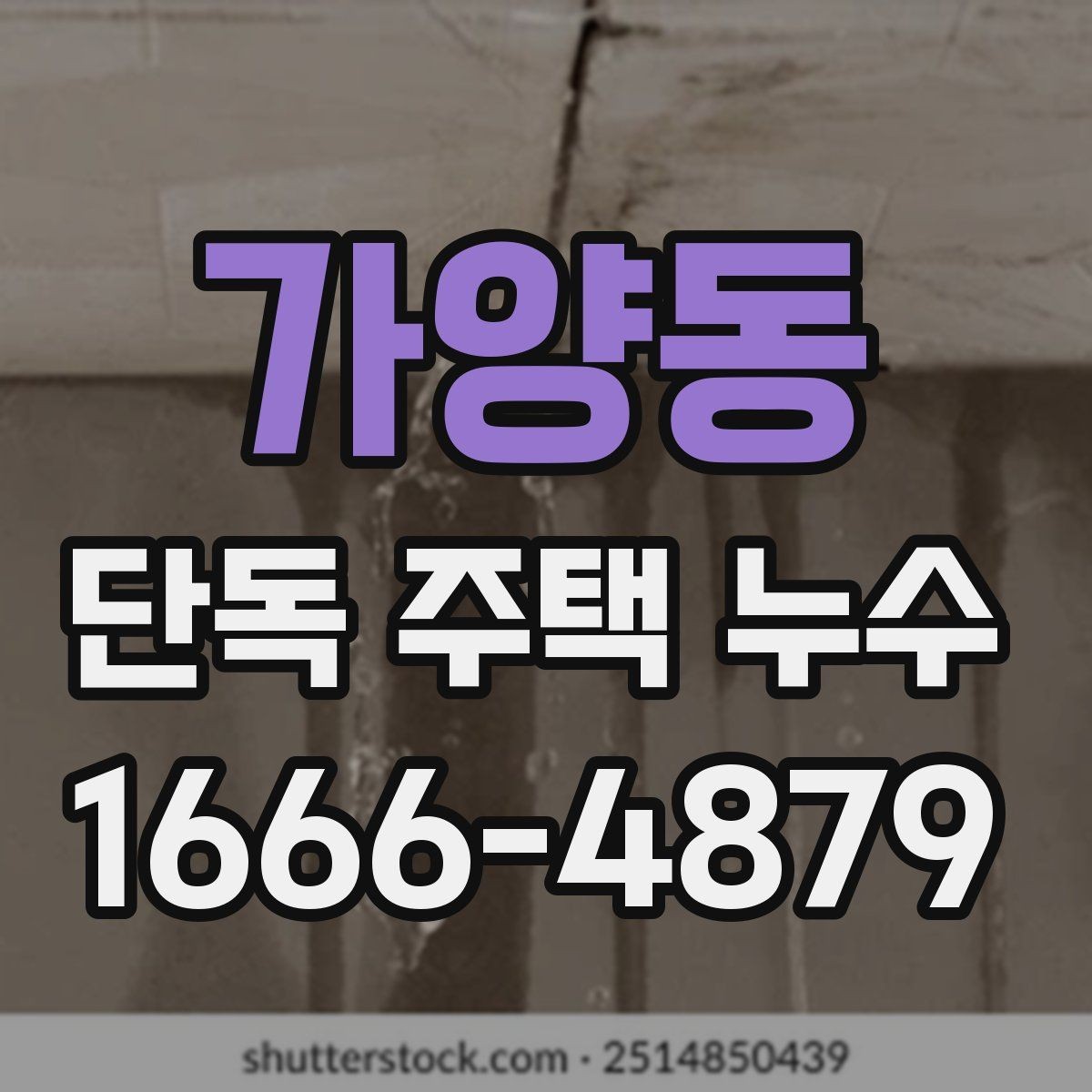 가양동 단독 주택 누수 비 오는 날 더 심해질 때 점검법