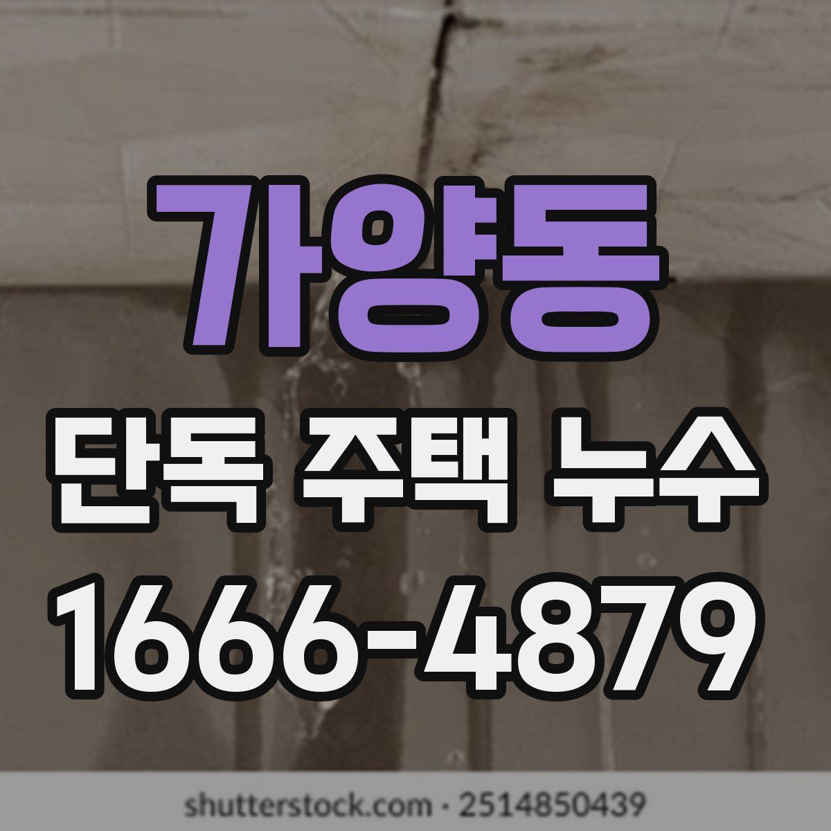 가양동 단독 주택 누수