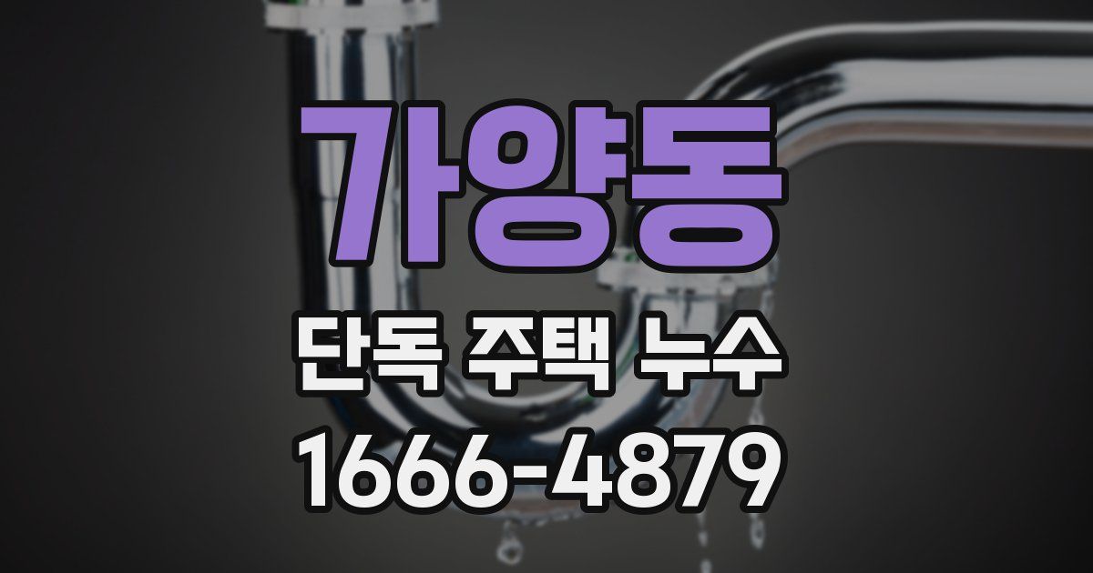 가양동 단독 주택 누수