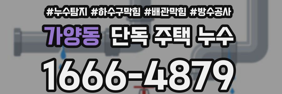 가양동 단독 주택 누수