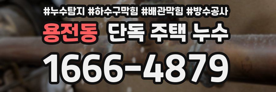 용전동 단독 주택 누수