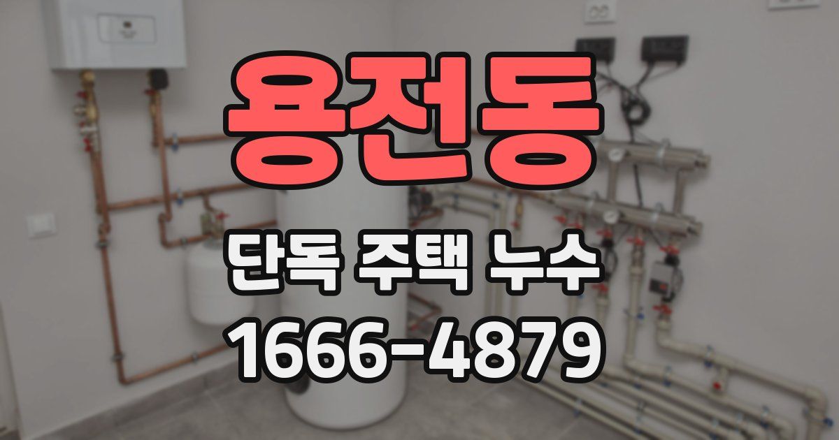 용전동 단독 주택 누수