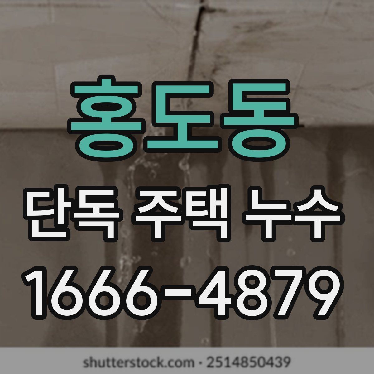 홍도동 단독 주택 누수 발생 위치별 대처법