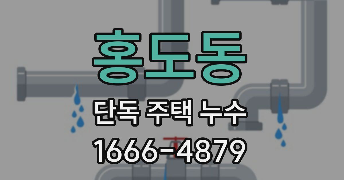 홍도동 단독 주택 누수