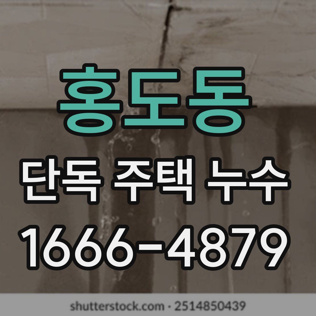 홍도동 단독 주택 누수
