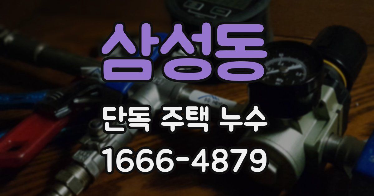 삼성동 단독 주택 누수