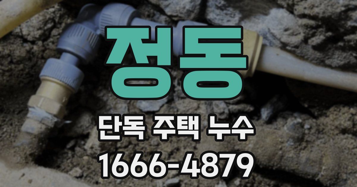 정동 단독 주택 누수