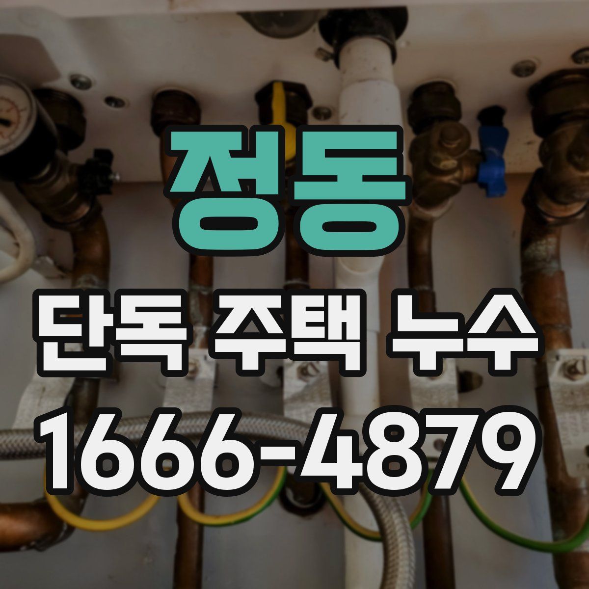 정동 단독 주택 누수