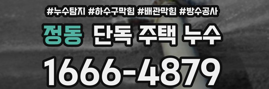 정동 단독 주택 누수